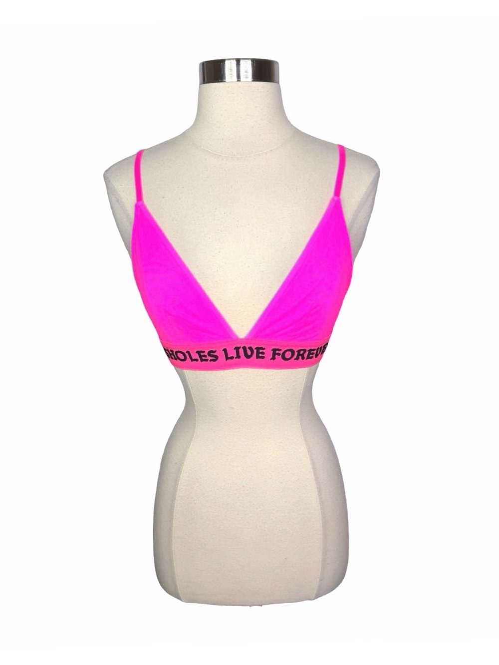 A**holes Live Forever Pink Mesh Triangle Bralette - Size Small